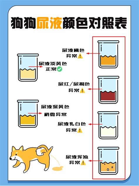 狗 尿 顏色|狗狗的尿液是什么颜色才是正常的？